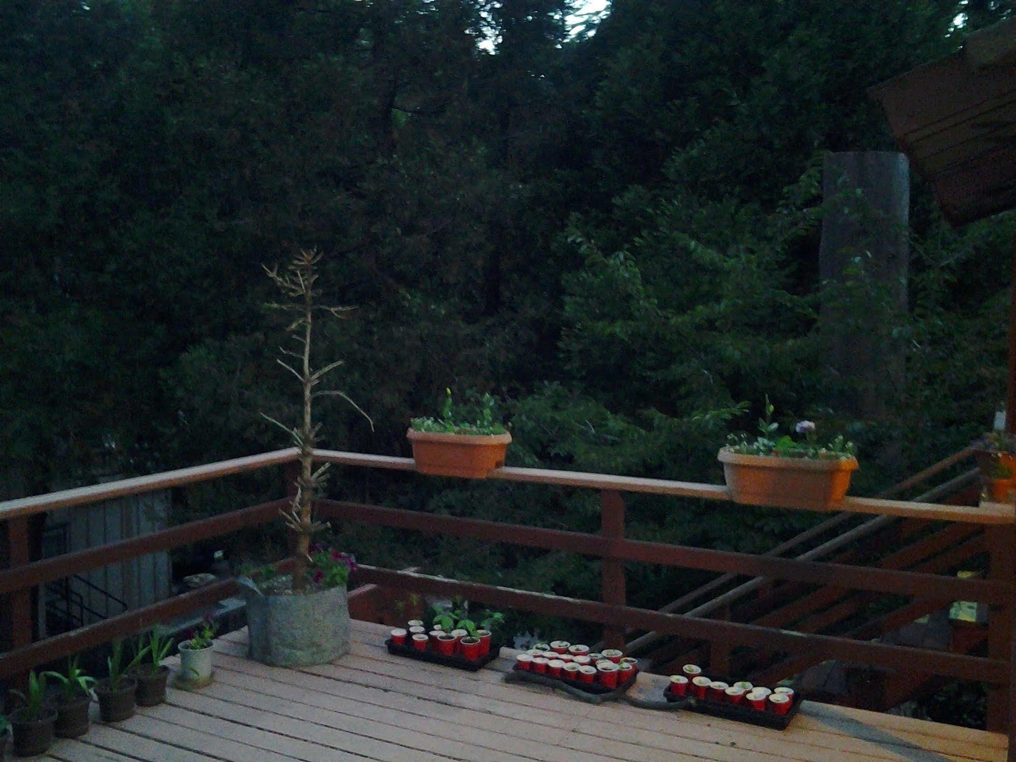 Arrowhead Mountain Inn Lake Arrowhead Exteriér fotografie